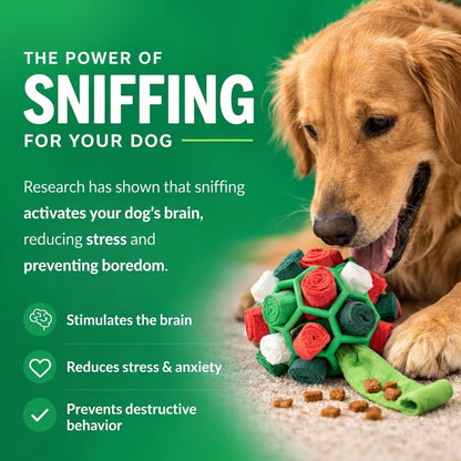 SniffBuddy Ball (FREE TODAY)