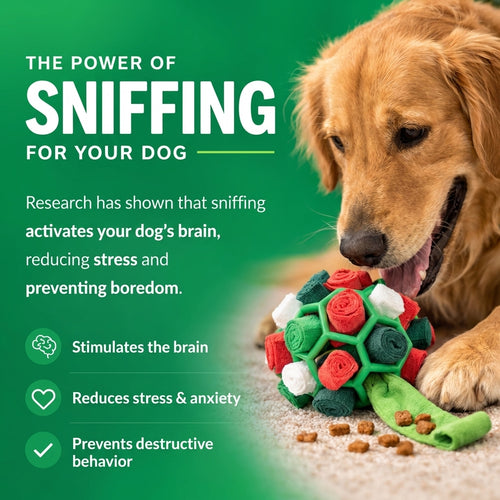 SniffBuddy Ball (FREE TODAY)